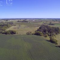 Tillable Hunting Land For Sale-Dodge County images 5