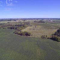 Tillable Hunting Land For Sale-Dodge County images 6