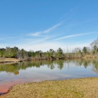 3 Bed 1 Bath Home &nbsp; 1 Bed 2 Bath Guest House 42 Acres SW MS images 3