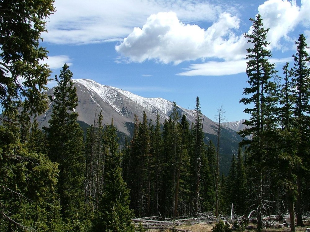 12 Timber Ridge at Cordova Pass featured image