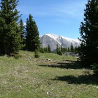 12 Timber Ridge at Cordova Pass images 3