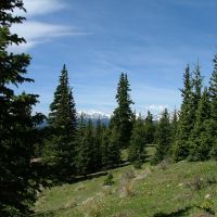 12 Timber Ridge at Cordova Pass images 4