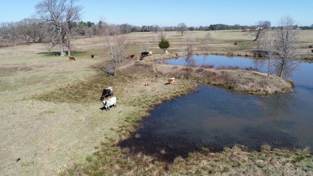 84.5 Acre Ranch featured image