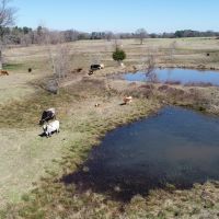84.5 Acre Ranch images 1