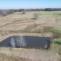 84.5 Acre Ranch images 4