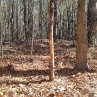 62-015-chatahospee-creek-retreat images 6
