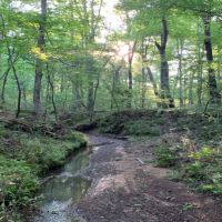 206 Acres in Madison County in Canton  MS