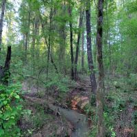 206 Acres in Madison County in Canton  MS images 2