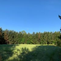 206 Acres in Madison County in Canton  MS images 5