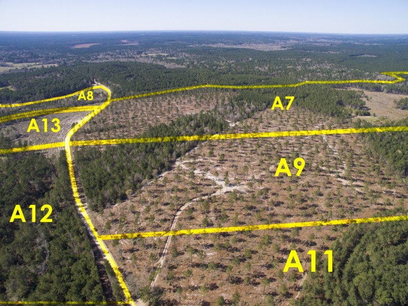 175 Acres &nbsp; Fountain Rd &nbsp; Brushy Creek &nbsp;   Tract A7 featured image