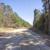 175 Acres &nbsp; Fountain Rd &nbsp; Brushy Creek &nbsp;   Tract A7 images 3