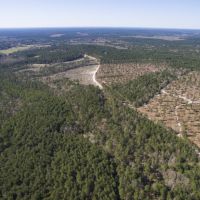175 Acres &nbsp; Fountain Rd &nbsp; Brushy Creek &nbsp;   Tract A7 images 6