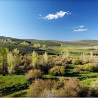 Circle J Ranch images 3