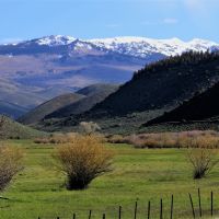 Circle J Ranch images 5
