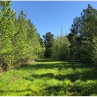 168.2 Acres in Yalobusha County in Oakland  MS
