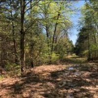 168.2 Acres in Yalobusha County in Oakland  MS images 4