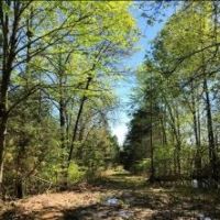 168.2 Acres in Yalobusha County in Oakland  MS images 5
