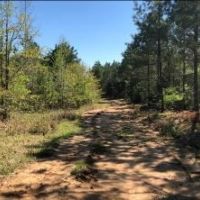 168.2 Acres in Yalobusha County in Oakland  MS images 6