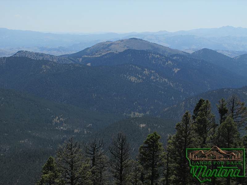 Leveled Cabin Site Near the Top Of a Mountain - Denton Mountain  19.8 Acres for  54 775 featured image