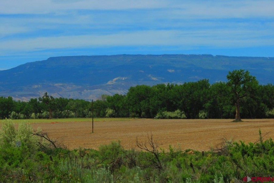 Uncompahgre River Farm featured image