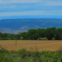 Uncompahgre River Farm