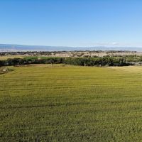 Uncompahgre River Farm images 3