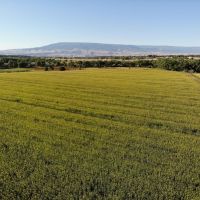 Uncompahgre River Farm images 4