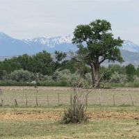 Uncompahgre River Farm images 5