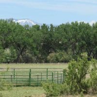 Uncompahgre River Farm images 6