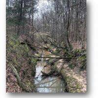83.05 Acres in Lafayette County in Water Valley  MS images 6