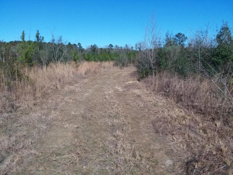 20 Acres Development Land for Sale Sumrall MS featured image