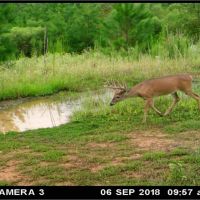 165 Acres in Attala County in Kosciusko  MS images 4
