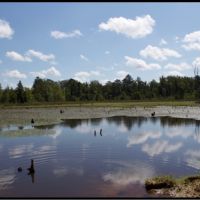 165 Acres in Attala County in Kosciusko  MS images 6