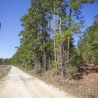 153 Acres &nbsp; Thornton Road &nbsp; Tract 2105 images 2