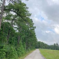 153 Acres &nbsp; Thornton Road &nbsp; Tract 2105 images 5