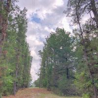 153 Acres &nbsp; Thornton Road &nbsp; Tract 2105 images 6