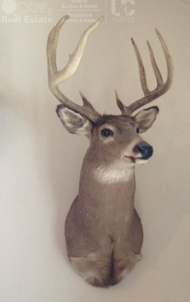 Hunting Land in Wood County Close to Wisconsin Rapids  WI featured image