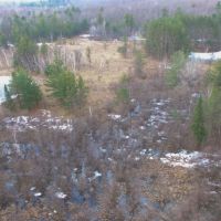 Hunting Land in Wood County Close to Wisconsin Rapids  WI images 3