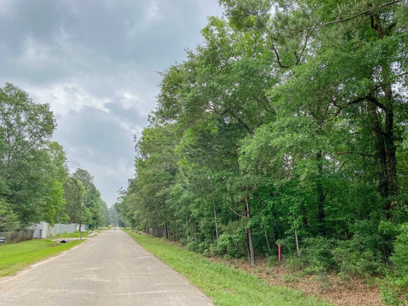 1.33 Acres &nbsp; CR 3893 E featured image