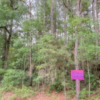 1.33 Acres &nbsp; CR 3893 E images 5