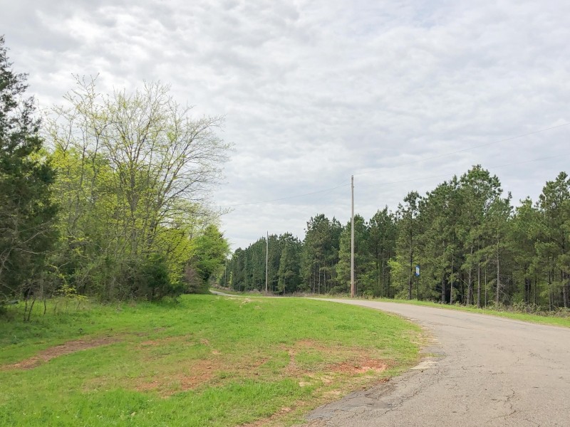 13 Acres &nbsp; CR 4114 &nbsp; Tract 1011 featured image