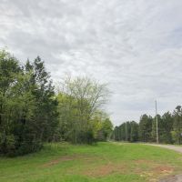 13 Acres &nbsp; CR 4114 &nbsp; Tract 1011 images 2