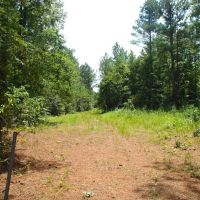 147 Acres in Winston County in Louisville  MS