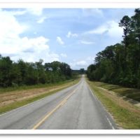 147 Acres in Winston County in Louisville  MS images 2