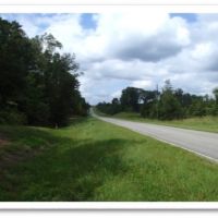 147 Acres in Winston County in Louisville  MS images 3