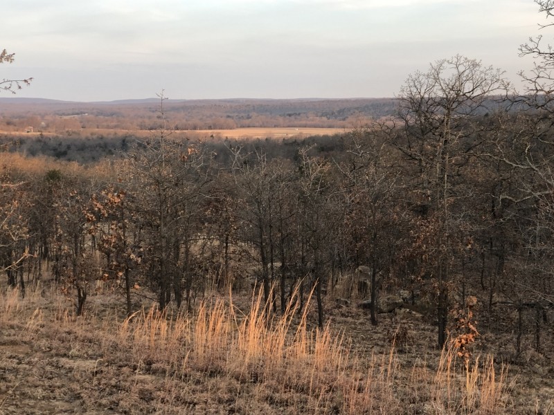 294 Acres featured image