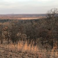 294 Acres