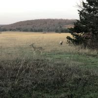 294 Acres images 2
