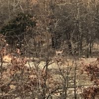 294 Acres images 3