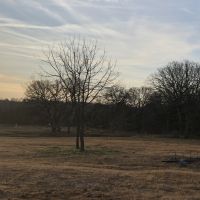 294 Acres images 4